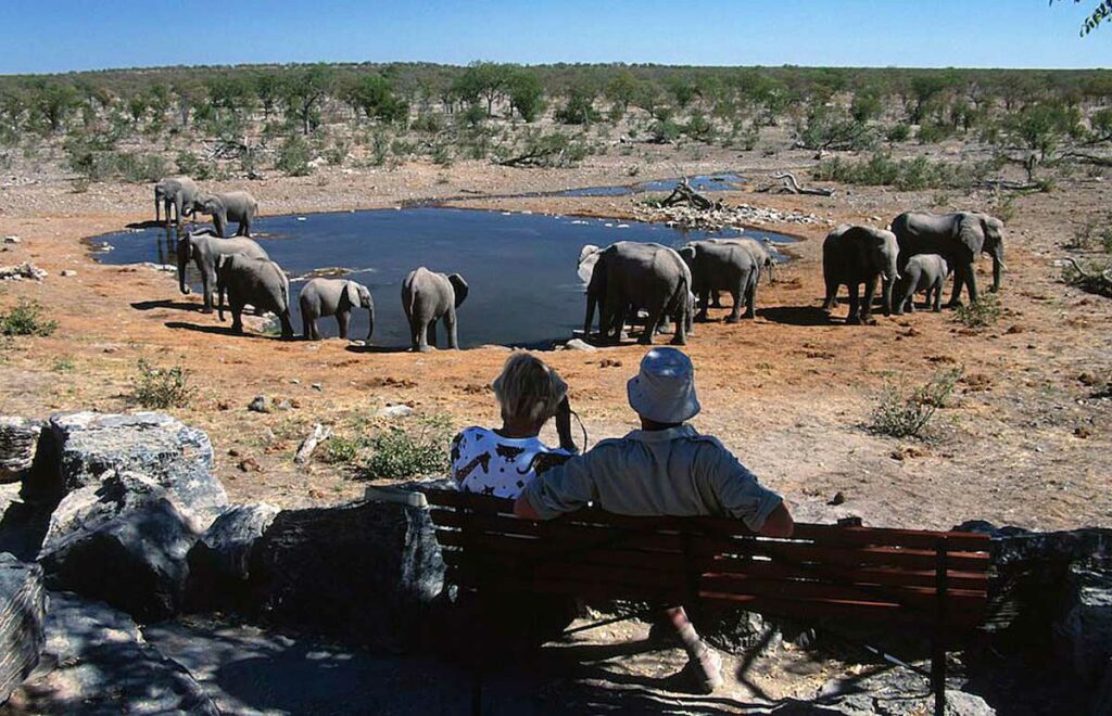 Top 7 Namibia Tourist Attractions That Will Give A Real Trademarks Of African Safari, Namibia Safari Tours