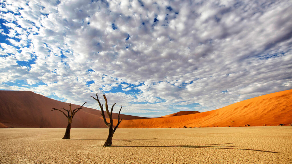 Essential Things To Know Before Your Namibia Safari Trip In 2024!, Namibia Safari Tours