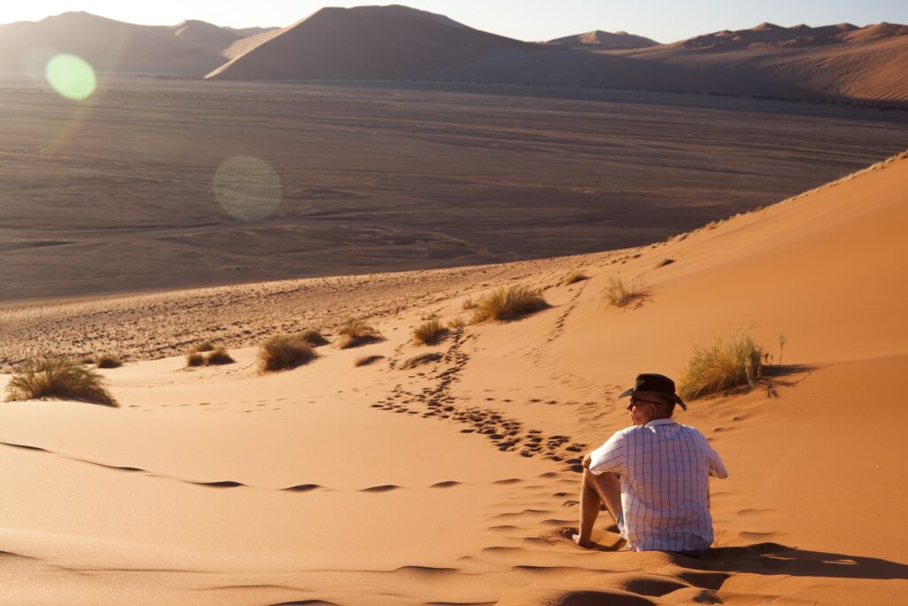 Essential Things To Know Before Your Namibia Safari Trip In 2024!, Namibia Safari Tours