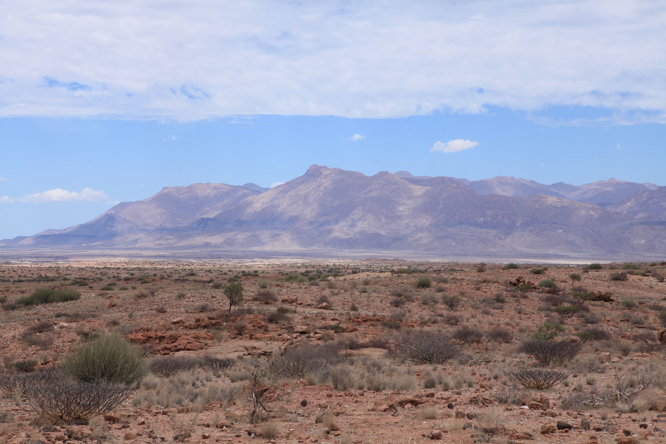 Hiking the Brandberg Mountain (Namibia) in 2024, Namibia Safari Tours