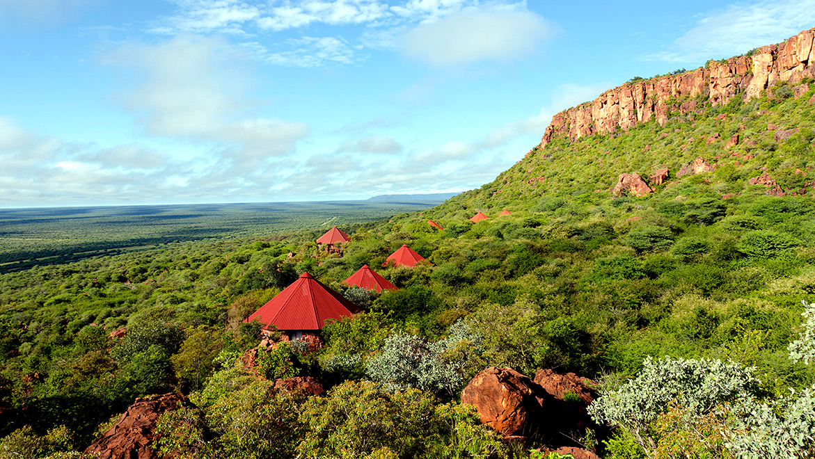 Game Drives in Namibia, Namibia Safari Tours