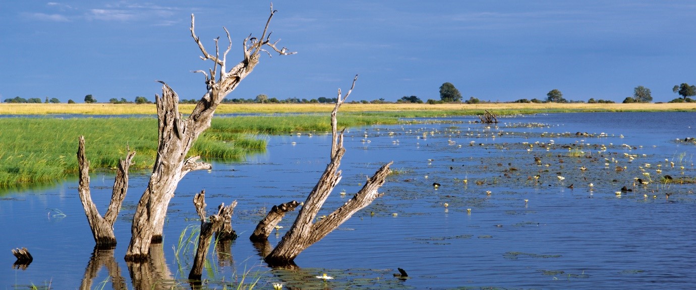 Game Drives in Namibia, Namibia Safari Tours