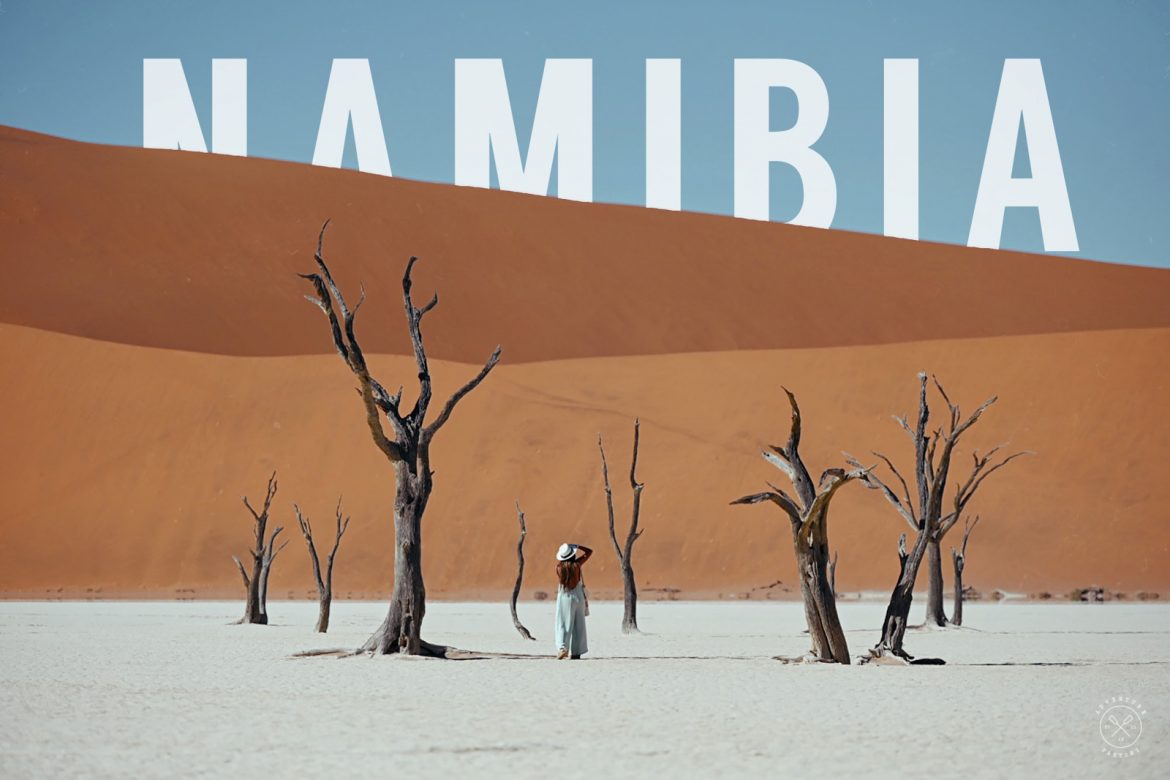 What Is It Like To Travel To Namibia In 2024?, Namibia Safari Tours