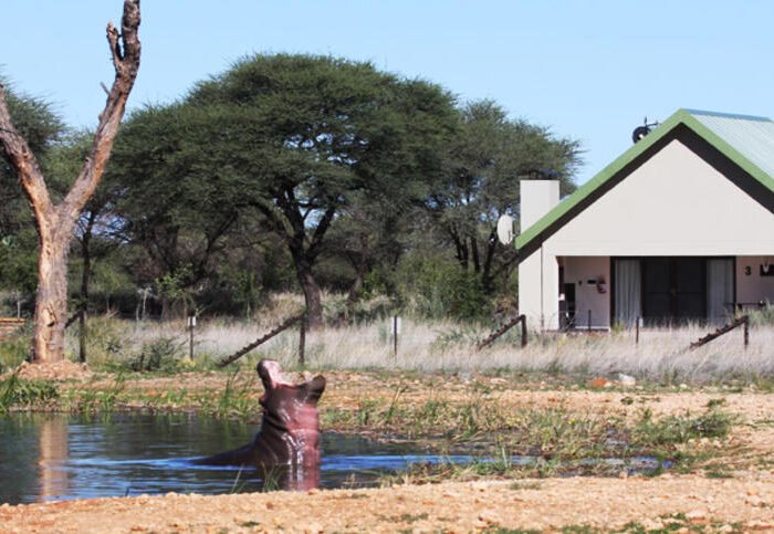 namibia luxury safari tours